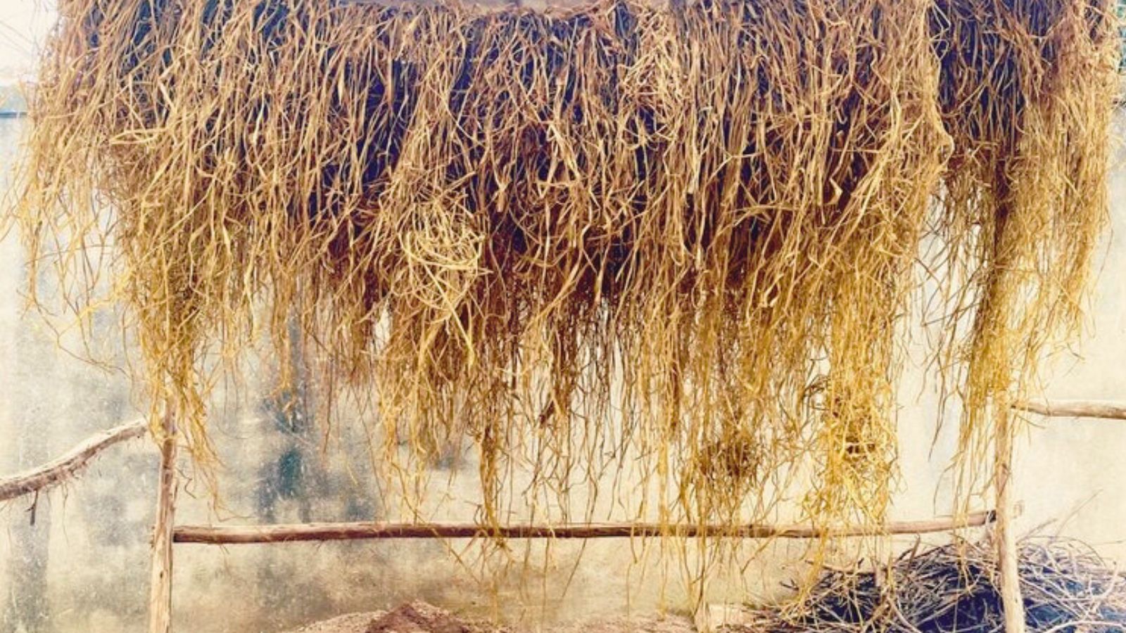 Le raphia : tout savoir sur cette fibre naturelle d'exception