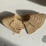 Col amovible KINTANA naturel