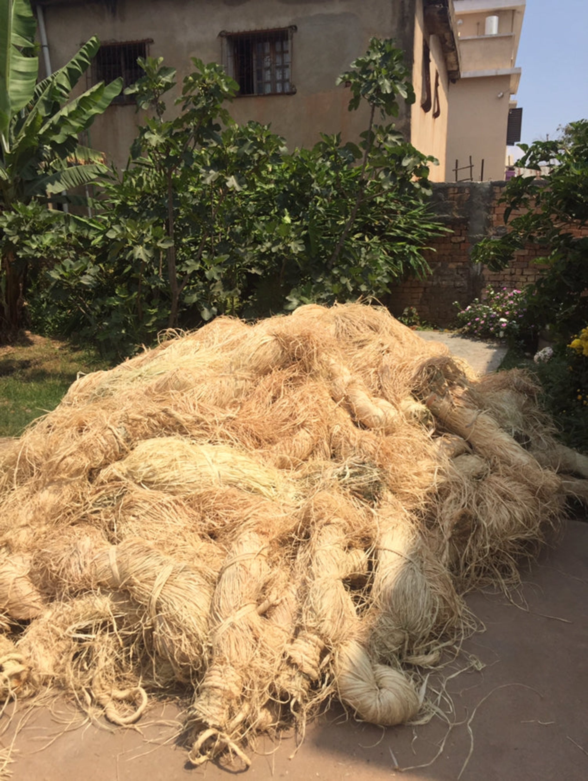 Motte de raphia naturel - fibres de raphia naturel de Madagascar