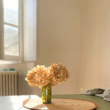 SET DE TABLE GAÏA CURRY